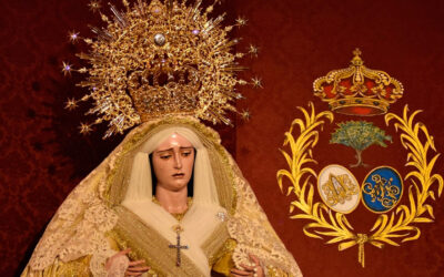 Pedazo de web que tiene la Hermandad