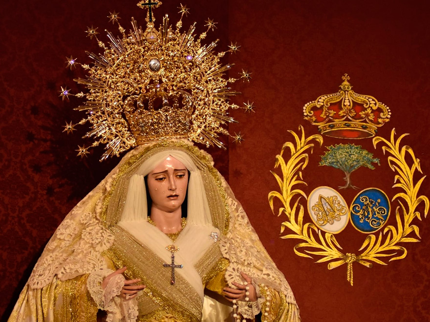 Pedazo de web que tiene la Hermandad